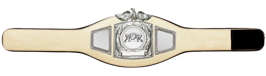PROEAGLE JIU JITSU CHAMPIONSHIP BELT - PROEAGLE/S/JJS - AVAILABLE IN 6+ COLOURS PROEAGLE JIU JITSU CHAMPIONSHIP BELT - PROEAGLE/S/JJS - AVAILABLE IN 6+ COLOURS